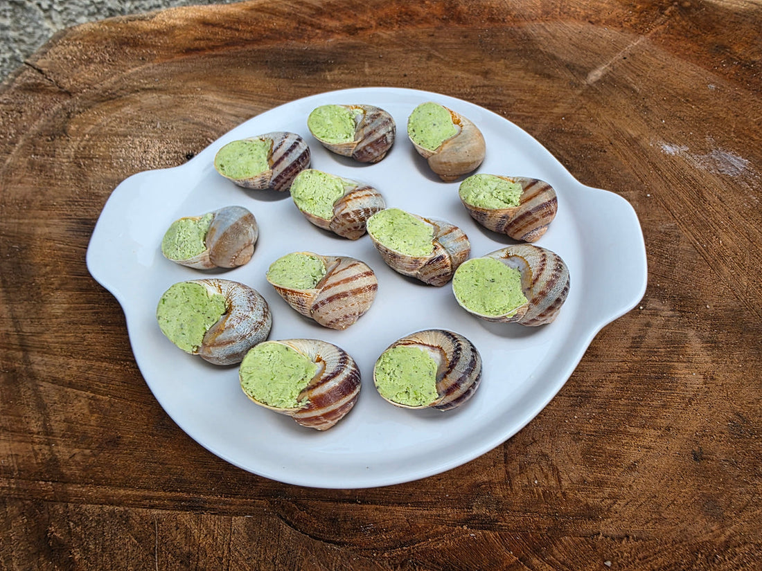 Melci de Burgundia Natural Helix serviți elegant pentru un cadou gourmet