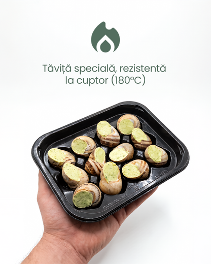 Escargots Natural Helix serviți ca aperitiv franțuzesc gourmet