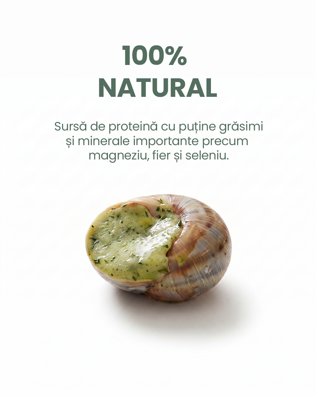 Pachet de melci de Burgundia Natural Helix pentru servire gourmet